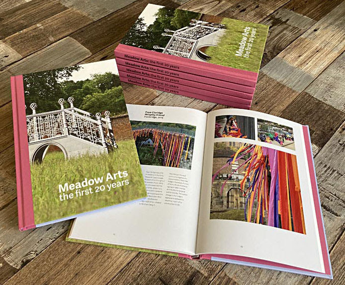 Meadow Arts: the first 20 years